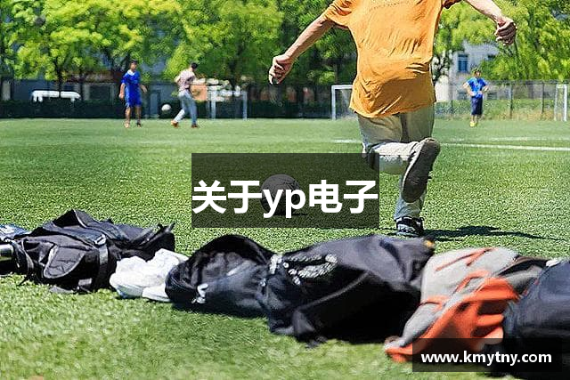 关于yp电子